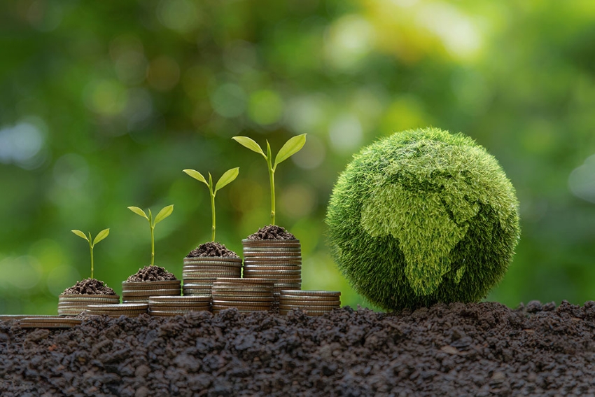 Detroit Transitional Housing Investment Opportunities Calhoun County, Michigan, MI